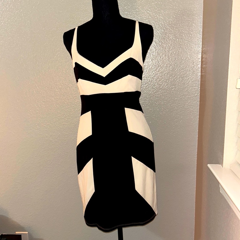 Laundry by Design Black and Crème mini dress